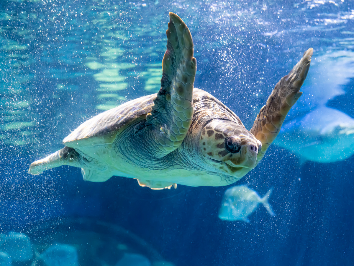 Explore Attractions in the area